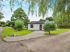 15 Plympton Pippin
