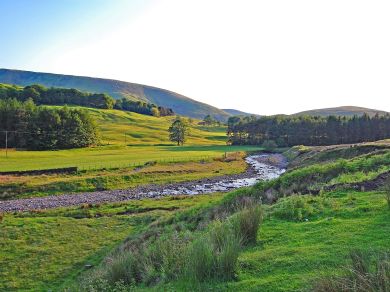 Meadow Bank (OC-41764) Meadow Bank (OC-41764)