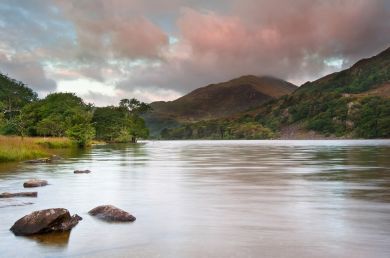 Fron Hyfryd (OC-F28288)