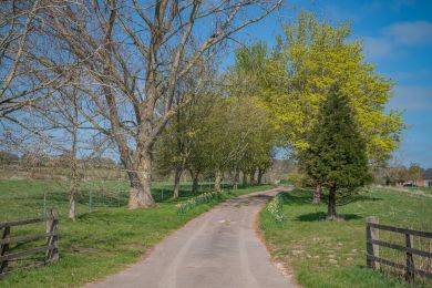The Calf Pens-Honington (OC-T31960)