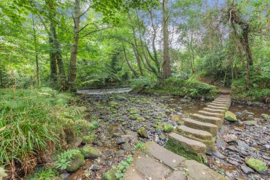 Esk Cottage - Egton (OC-E29968)