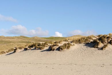 Penthouse 27 Dunes (OC-B642177)