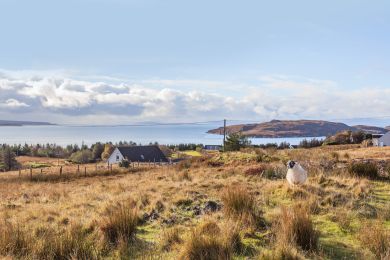 Dungrianach (OC-D33686)