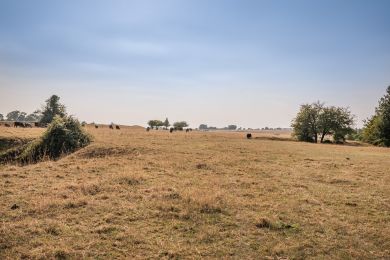 Park View - Minchinhampton Common (OC-P32980) Park View - Minchinhampton Common (OC-P32980)