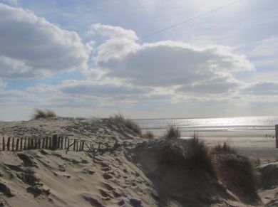 The Beach Retreat (OC-BT084)
