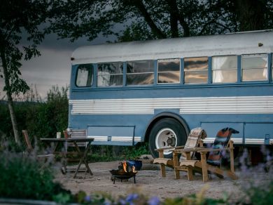 Bluebird Bus (OC-82585)