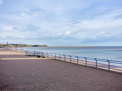 The Pier View (OC-82189) The Pier View (OC-82189)
