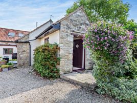 Orchard Farm Wedmore - Russet