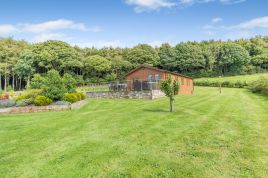 Holly Lodge - Pheasant Fields