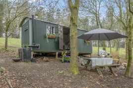 Forget-Me-Not - Holt Glamping