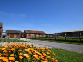 Elderflower Lodge