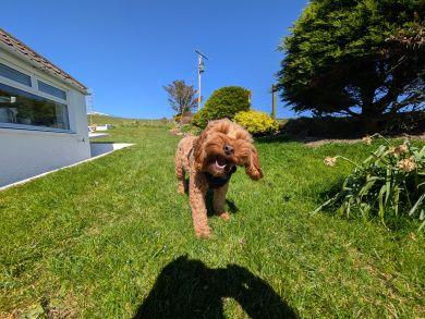 Dinvin Portpatrick (OC-D37202)