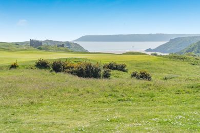 Hedgeway Gower (OC-H32080)