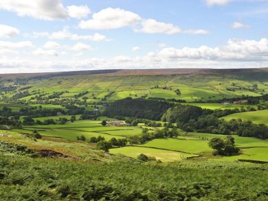 Moors Edge Lodge (OC-G0066) Moors Edge Lodge (OC-G0066)