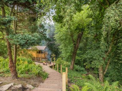 Treehouse Lodge (OC-88768) Treehouse Lodge (OC-88768)