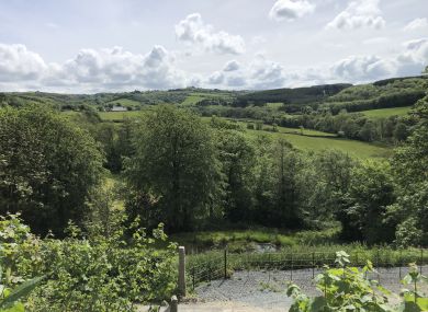 April Cottage at Sanctuary Farm (OC-A32063)