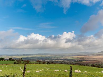Riverside Rest 1 - Pembrokeshire (OC-93616) Riverside Rest 1 - Pembrokeshire (OC-93616)