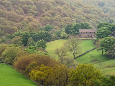 Kinder Cottage (OC-PK551)