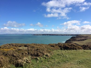 Marloes Court Farm (OC-52794) Marloes Court Farm (OC-52794)