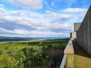 Allan's Cottage - Kielder (OC-89299) Allan's Cottage - Kielder (OC-89299)