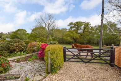 Woodland Cottage - Brockenhurst (OC-W30959)