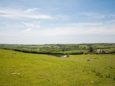 Rosemary Cottage - Godshill (OC-IC106) Rosemary Cottage - Godshill (OC-IC106)