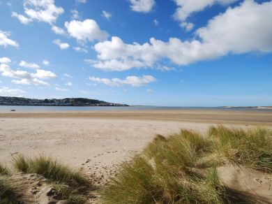 Instow Farm - Cherry Blossom (OC-INFCB) Instow Farm - Cherry Blossom (OC-INFCB)