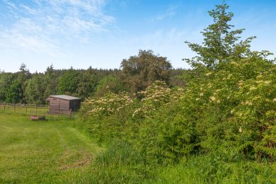 The Cabin - Earthway Retreat (OC-M43316) The Cabin - Earthway Retreat (OC-M43316)