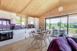 Plum Log Cabin