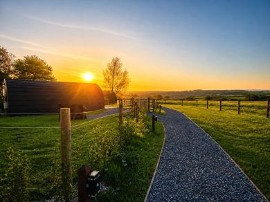 Thorney Cross Hawthorn (OC-T34884)