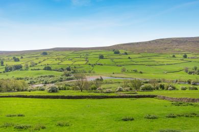 Cowslip Cottage (OC-C43317) Cowslip Cottage (OC-C43317)