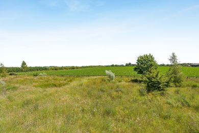 Meadow View (OC-M45263)