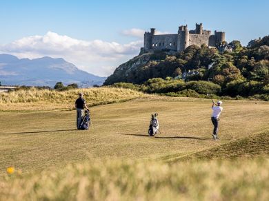 Hafan Y Traeth (OC-81281) Hafan Y Traeth (OC-81281)