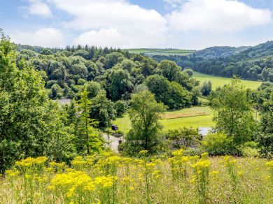 Honeysuckle Cottage Weare Giffard (OC-83808) Honeysuckle Cottage Weare Giffard (OC-83808)
