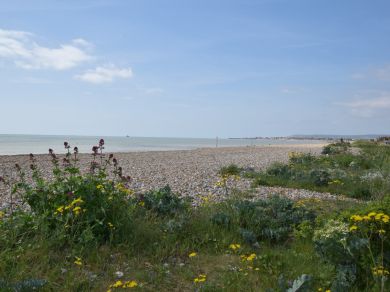 Bay View - Pevensey Bay (OC-59370)