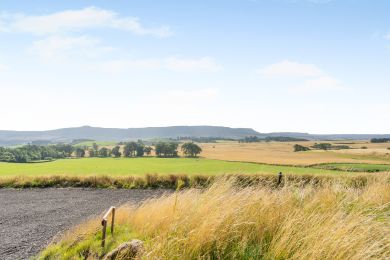 Buzzard Lodge at Glentarkie (OC-B45975)