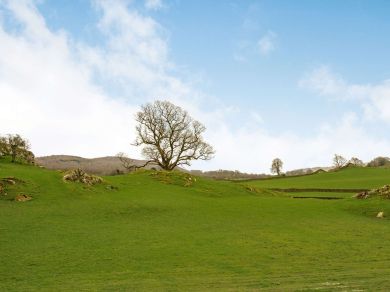 Bridge House - Cartmel Fell (OC-SZ101) Bridge House - Cartmel Fell (OC-SZ101)