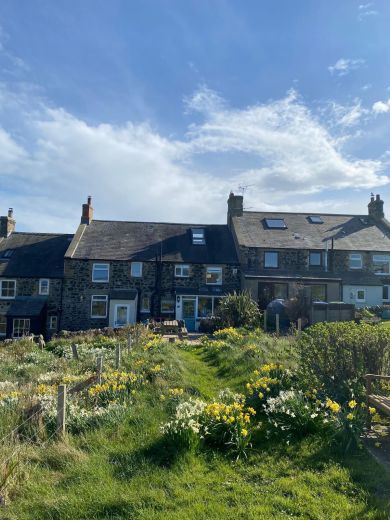 Castle Point Cottage, Craster (OC-GD1855) Castle Point Cottage, Craster (OC-GD1855)
