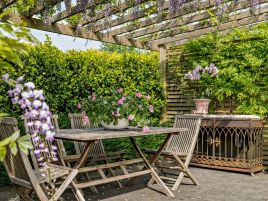Camellia Cottage In The Tamar Valley