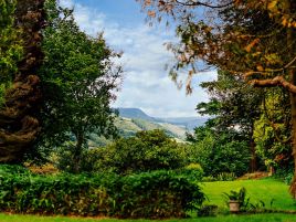 Pool Cottage Dyfi Valley