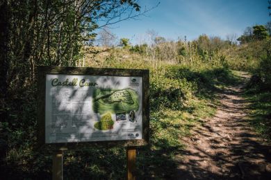 Redcote (OC-R29472)