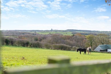 Rigg Cottage - Whitby (OC-R30330)