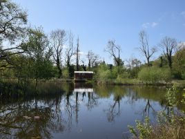 Kingfisher Hut