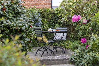 Periwinkle Cottage - Bridport (OC-P30346) Periwinkle Cottage - Bridport (OC-P30346)