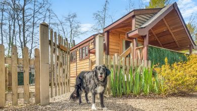 Hare Spa Retreat (OC-C29549) Hare Spa Retreat (OC-C29549)