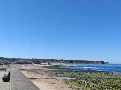 Blue Sea View (OC-B32423)