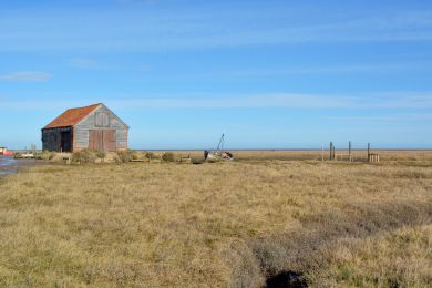 Captains Cottage (OC-888) Captains Cottage (OC-888)