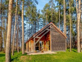 Hay's Wood 26