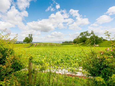 Crossfell View (OC-88212) Crossfell View (OC-88212)