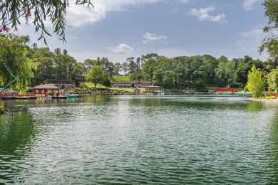 North Bay Life (OC-T29696) North Bay Life (OC-T29696)